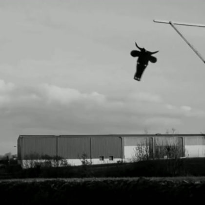 The Flying Black Cow Club