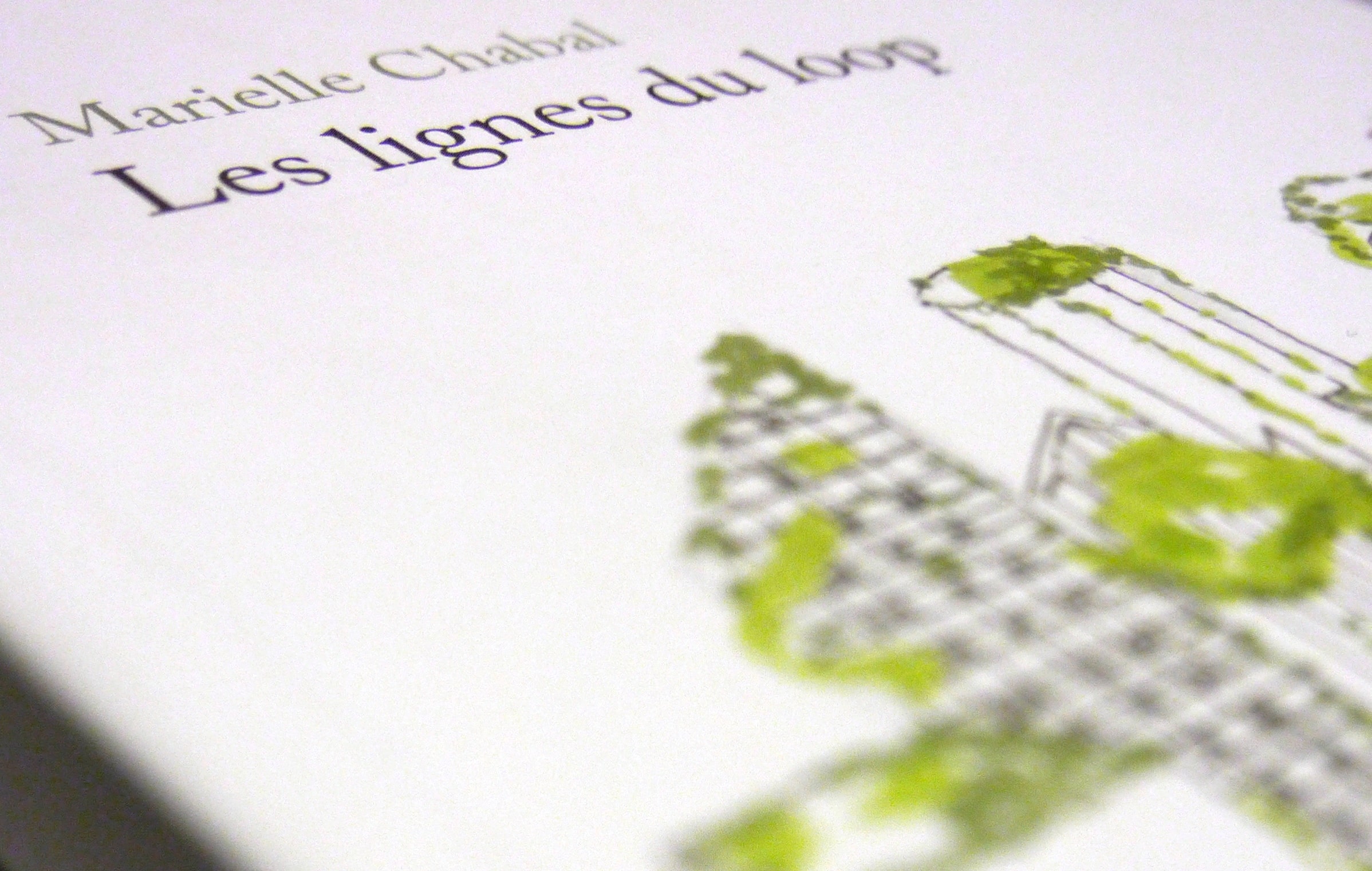 Les lignes du loop – Édition – Paradise